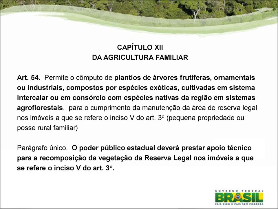 ou em consórcio com espécies nativas da região em sistemas agroflorestais, para o cumprimento da manutenção da área de reserva legal nos imóveis a