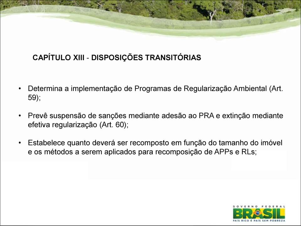 59); Prevê suspensão de sanções mediante adesão ao PRA e extinção mediante efetiva