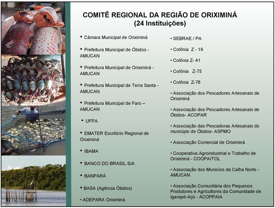 Colônia Z- 41 Colônia Z-75 Colônia Z-76 Associação dos Pescadores Artesanais de Oriximiná Associação dos Pescadores Artesanais de Óbidos- ACOPAR Associação das Pescadoras Artesanais do municipio de