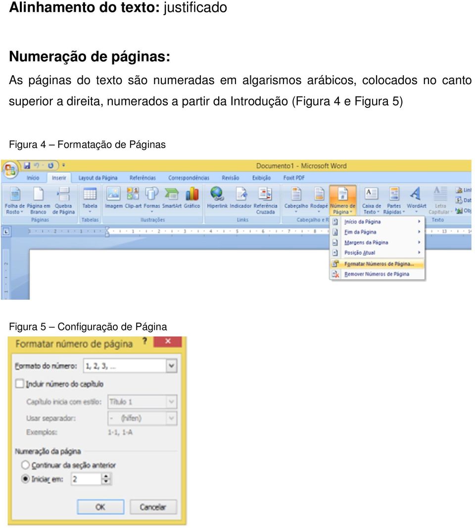 superior a direita, numerados a partir da Introdução (Figura 4 e