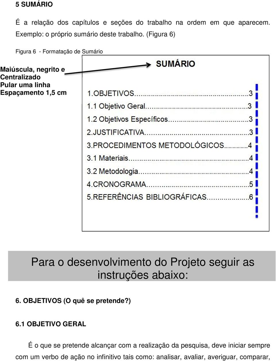 desenvolvimento do Projeto seguir as instruções abaixo: 6. OBJETIVOS (O quê se pretende?) 6.