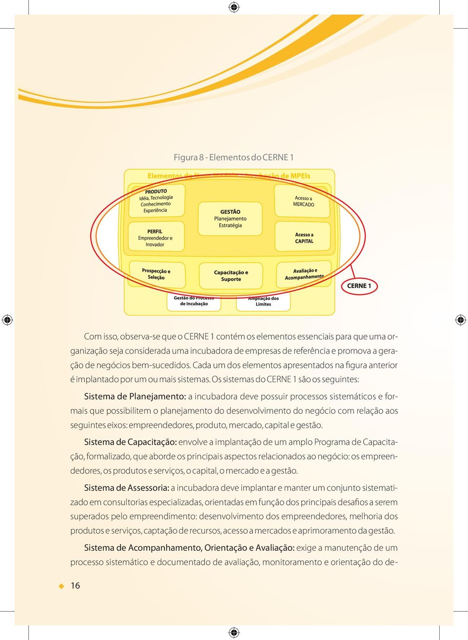 Os sistemas do CERNE 1 são os seguintes: Sistema de Planejamento: a incubadora deve possuir processos sistemáticos e formais que possibilitem o planejamento do desenvolvimento do negócio com relação