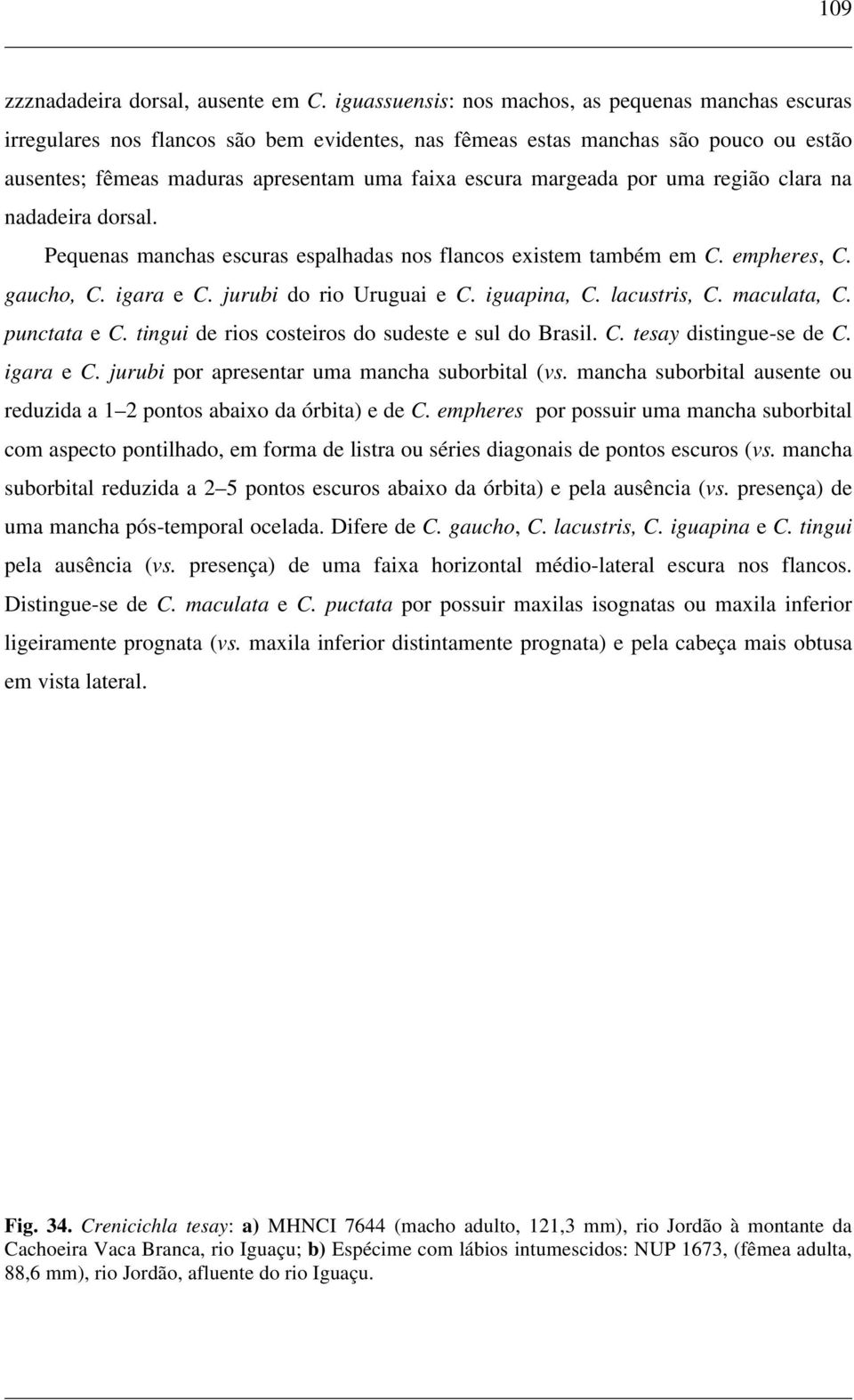 margeada por uma região clara na nadadeira dorsal. Pequenas manchas escuras espalhadas nos flancos existem também em C. empheres, C. gaucho, C. igara e C. jurubi do rio Uruguai e C. iguapina, C.