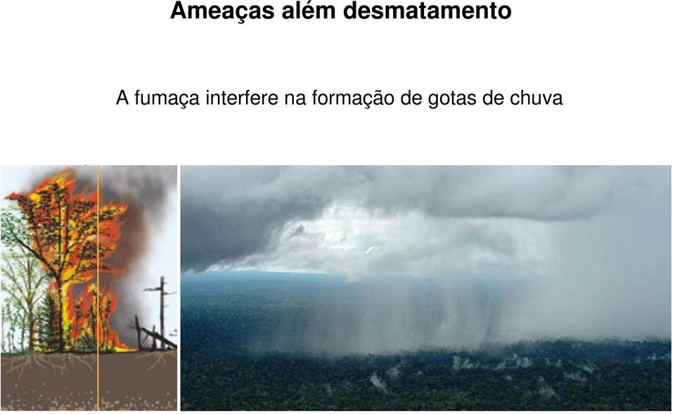 fumaça interfere