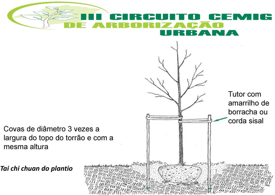 altura Tutor com amarrilho de