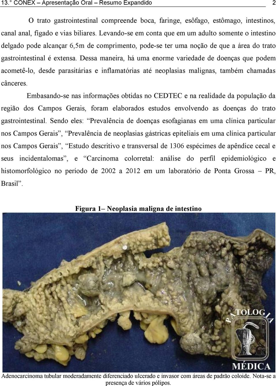 Dessa maneira, há uma enorme variedade de doenças que podem acometê-lo, desde parasitárias e inflamatórias até neoplasias malignas, também chamadas cânceres.