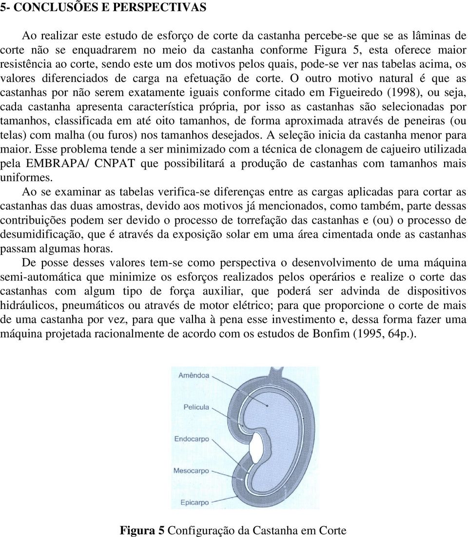 O outro motivo natural é que as castanhas por não serem exatamente iguais conforme citado em Figueiredo (1998), ou seja, cada castanha apresenta característica própria, por isso as castanhas são