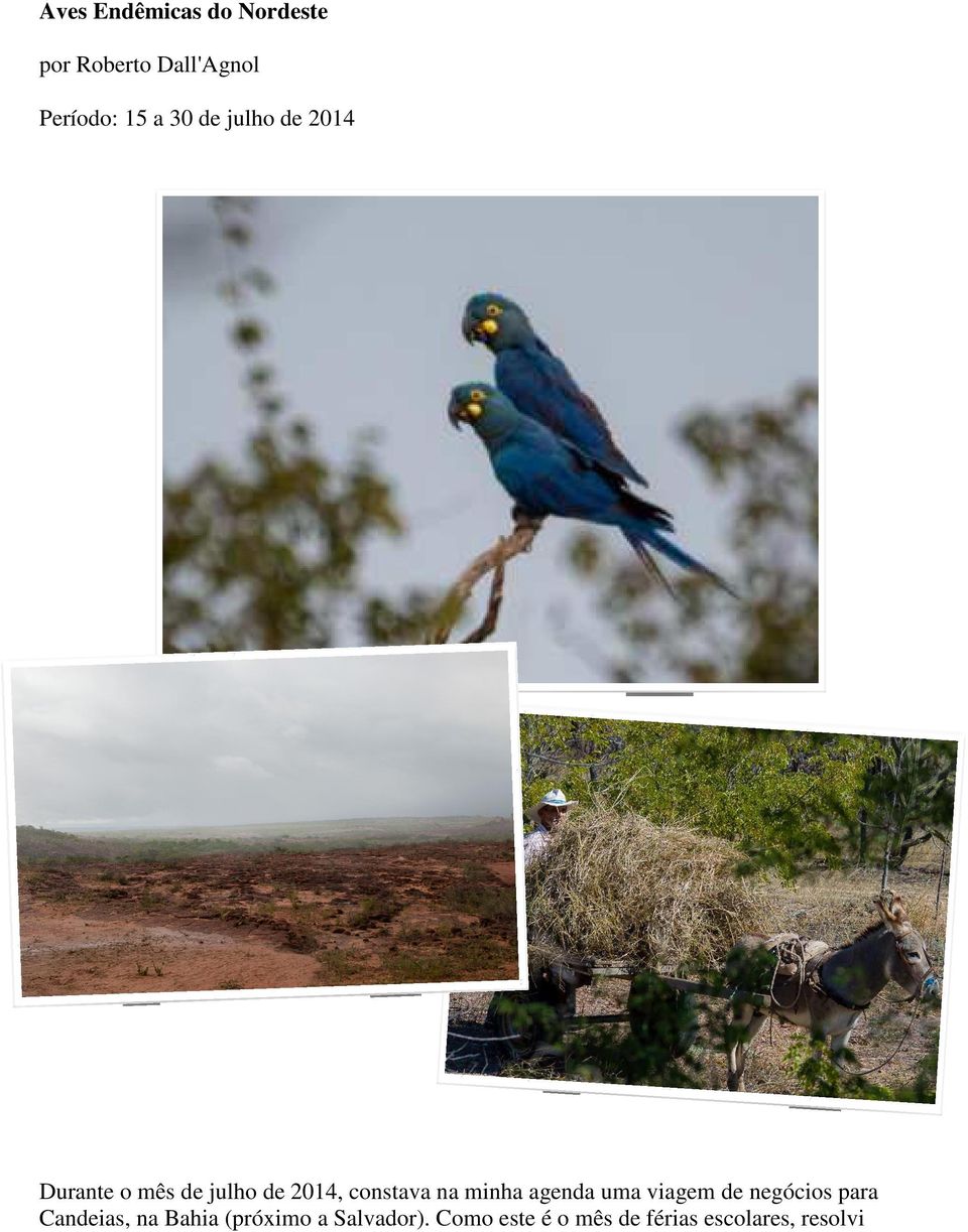 minha agenda uma viagem de negócios para Candeias, na Bahia