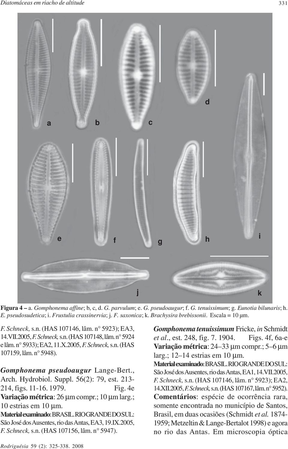 n 5933); EA2, 11.X.2005, F. Schneck, s.n. (HAS 107159, lâm. n 5948). Gomphonema pseudoaugur Lange-Bert., Arch. Hydrobiol. Suppl. 56(2): 79, est. 213214, figs. 11-16. 1979. Fig.