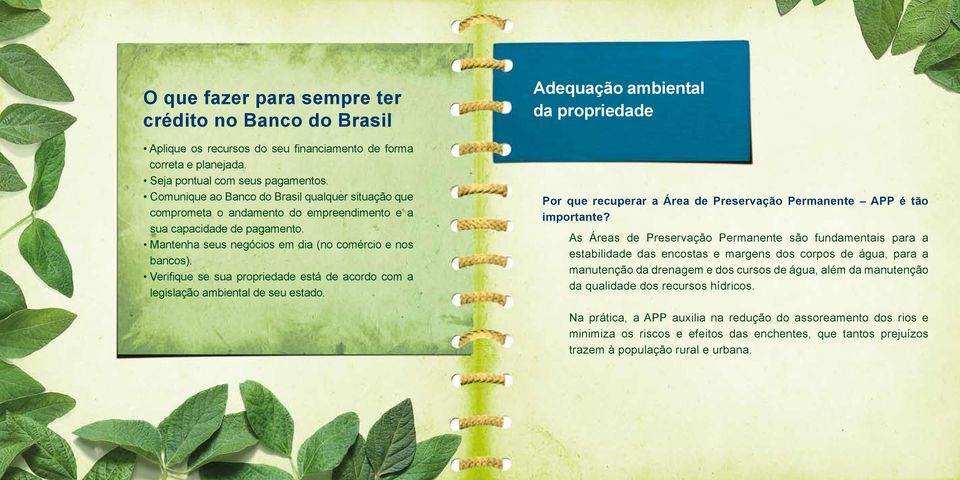 Verifique se sua propriedade está de acordo com a legislação ambiental de seu estado. Adequação ambiental da propriedade Por que recuperar a Área de Preservação Permanente APP é tão importante?