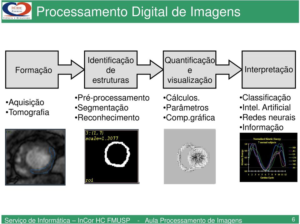 gráfica Processamento Digital de Imagens c Classificação Intel. Artificial Redes neurais Informação Kinetic Energy 1.0 0.8 0.5 0.