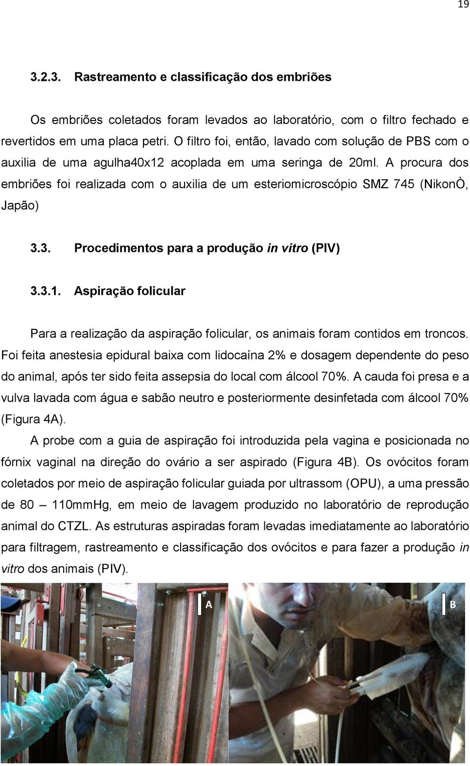 A procura dos embriões foi realizada com o auxilia de um esteriomicroscópio SMZ 745 (NikonÒ, Japão) 3.3. Procedimentos para a produção in vitro (PIV) 3.3.1.