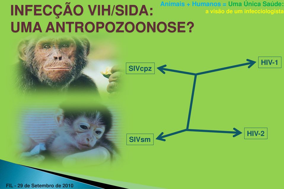 ANTROPOZOONOSE?