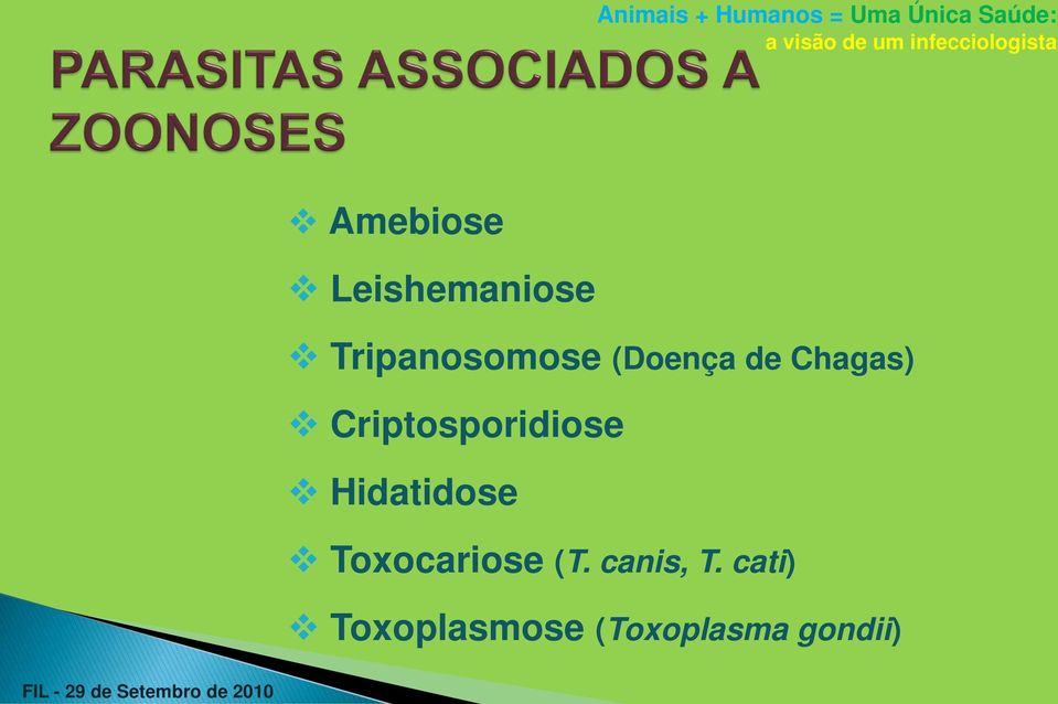 Hidatidose Toxocariose (T. canis, T.