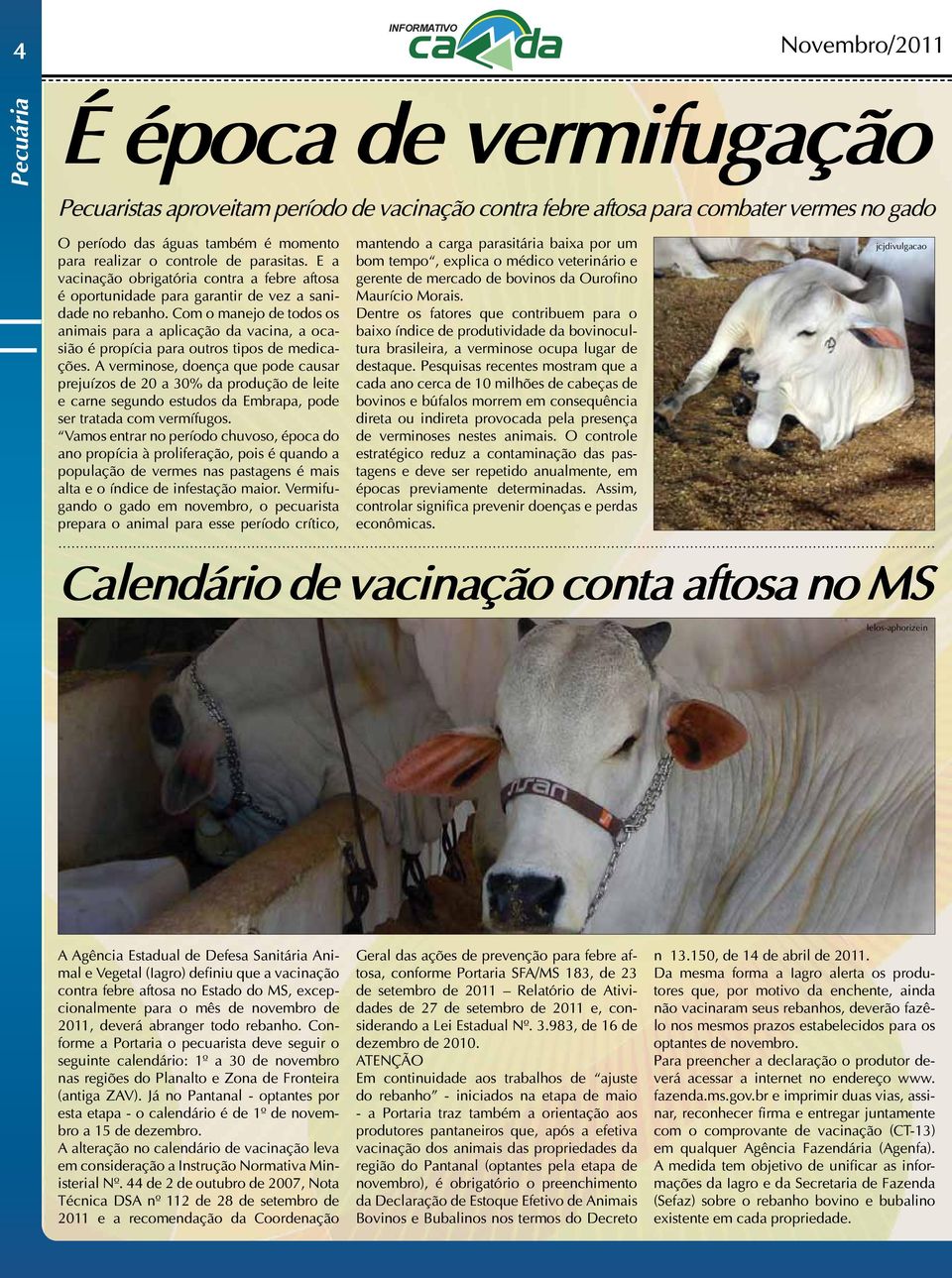 Com o manejo de todos os animais para a aplicação da vacina, a ocasião é propícia para outros tipos de medicações.