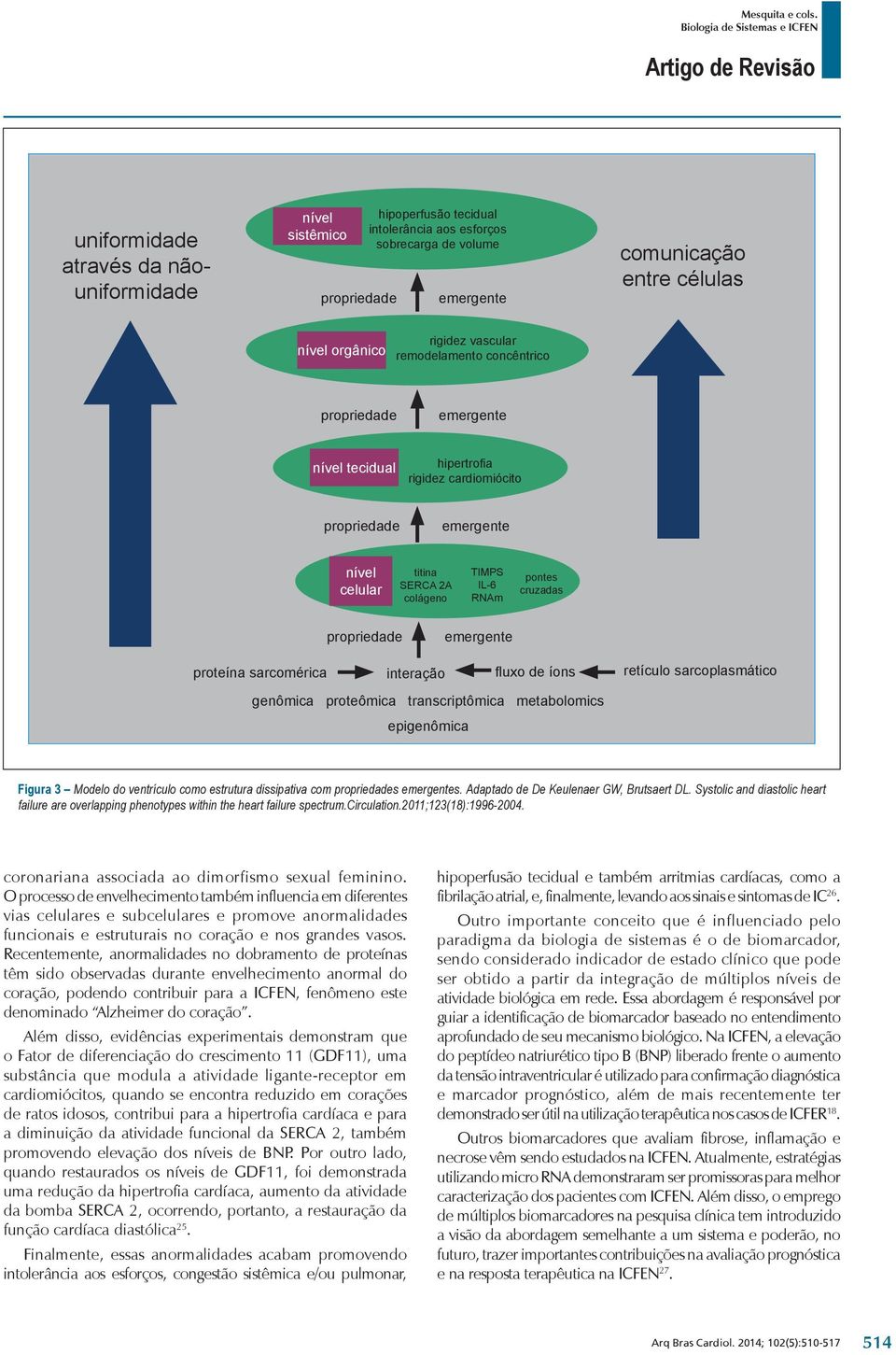 propriedade emergente proteína sarcomérica interação fluxo de íons retículo sarcoplasmático genômica proteômica transcriptômica metabolomics epigenômica Figura 3 Modelo do ventrículo como estrutura