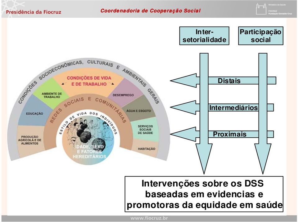 Intervenções sobre os DSS baseadas em