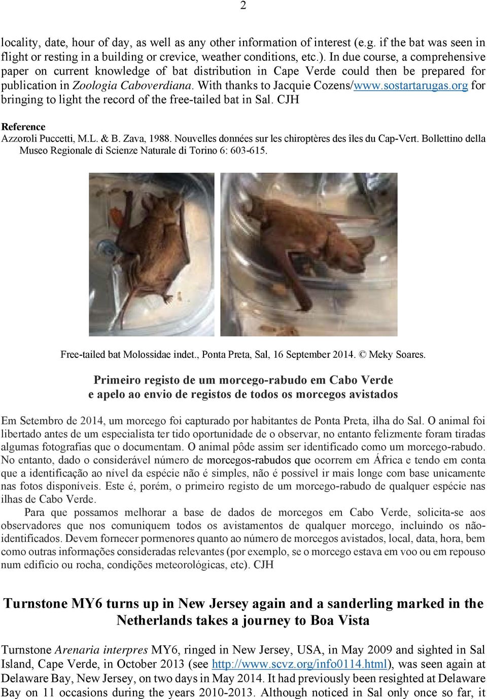 sostartarugas.org for bringing to light the record of the free-tailed bat in Sal. CJH Reference Azzoroli Puccetti, M.L. & B. Zava, 1988. Nouvelles données sur les chiroptères des îles du Cap-Vert.