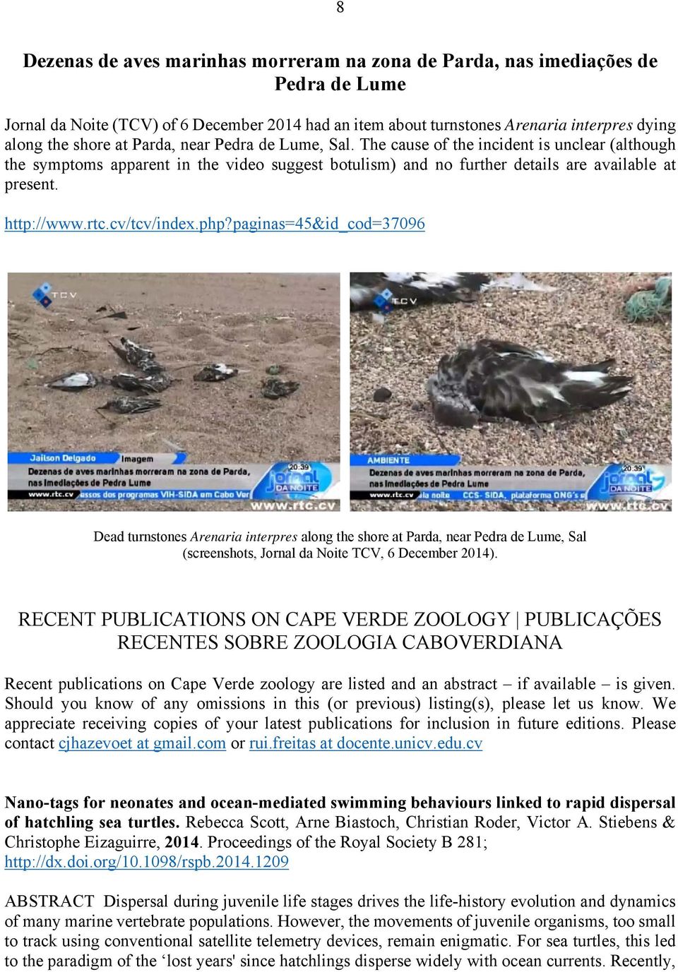 cv/tcv/index.php?paginas=45&id_cod=37096 Dead turnstones Arenaria interpres along the shore at Parda, near Pedra de Lume, Sal (screenshots, Jornal da Noite TCV, 6 December 2014).