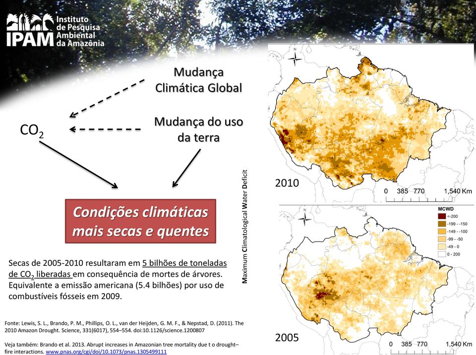 Fonte: Lewis, S. L., Brando, P. M., Phillips, O. L., van der Heijden, G. M. F., & Nepstad, D. (2011). The 2010 Amazon Drought. Science, 331(6017), 554 554. doi:10.