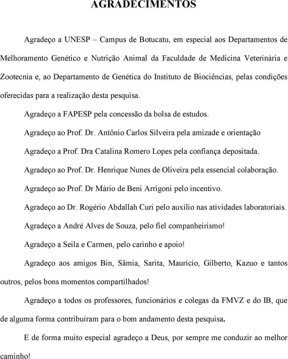 Antônio Carlos Silveira pela amizade e orientação Agradeço a Prof. Dra Catalina Romero Lopes pela confiança depositada. Agradeço ao Prof. Dr. Henrique Nunes de Oliveira pela essencial colaboração.