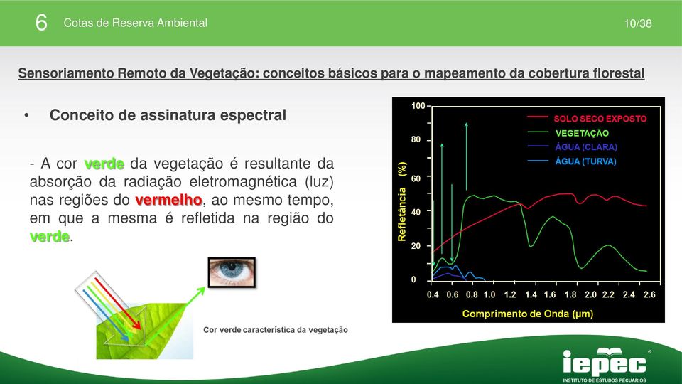 vegetação é resultante da absorção da radiação eletromagnética (luz) nas