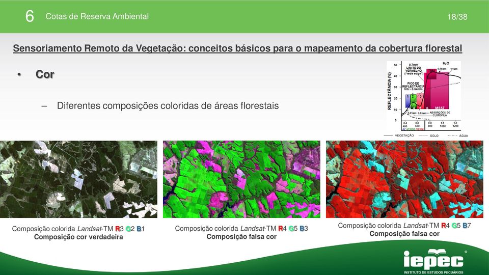 Composição colorida Landsat-TM R3 G2 B1 Composição cor verdadeira Composição colorida