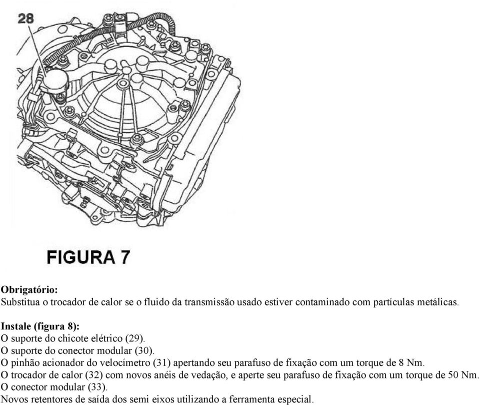 O pinhão acionador do velocímetro (31) apertando seu parafuso de fixação com um torque de 8 Nm.