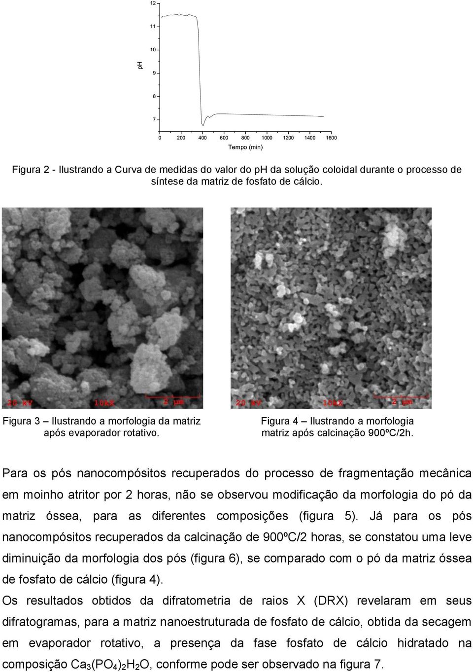 Para os pós nanocompósitos recuperados do processo de fragmentação mecânica em moinho atritor por 2 horas, não se observou modificação da morfologia do pó da matriz óssea, para as diferentes