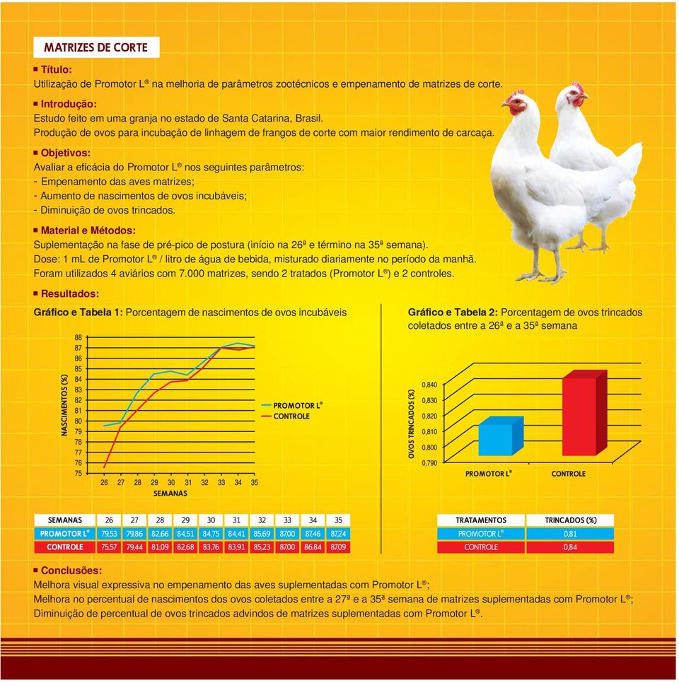Objetivos: Avaliar a eficácia do Promotor L nos seguintes parâmetros: - Empenamento das aves matrizes; - Aumento de nascimentos de ovos incubáveis; - Diminuição de ovos trincados.