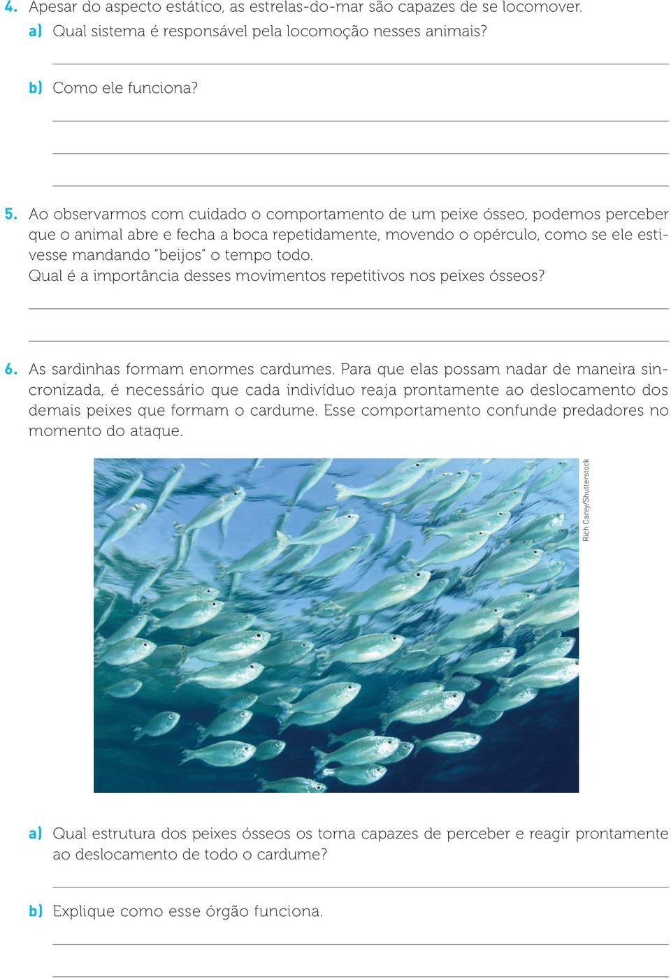 Qual é a importância desses movimentos repetitivos nos peixes ósseos? 6. As sardinhas formam enormes cardumes.