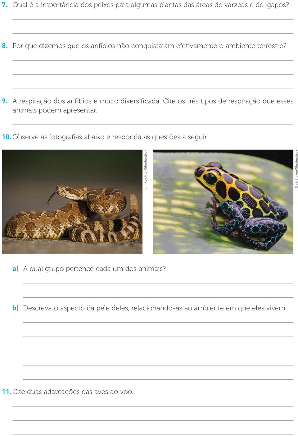 Cite os três tipos de respiração que esses animais podem apresentar. 10. Observe as fotografias abaixo e responda às questões a seguir.