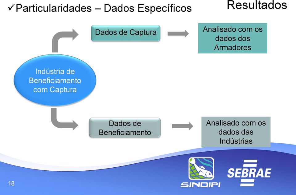 Armadores Indústria de Beneficiamento com Captura