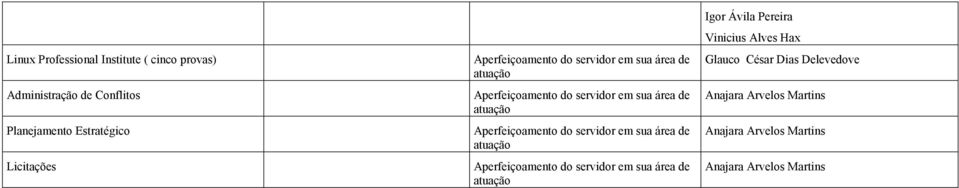 servidor em sua área de atuação Licitações Aperfeiçoamento do servidor em sua área de atuação Igor Ávila Pereira