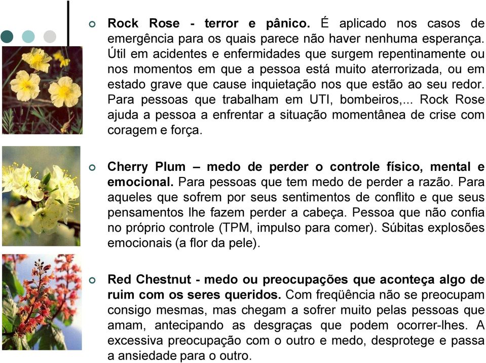 Para pessoas que trabalham em UTI, bombeiros,... Rock Rose ajuda a pessoa a enfrentar a situação momentânea de crise com coragem e força.