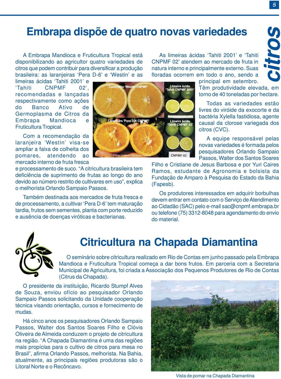 Embrapa Mandioca e Fruticultura Tropical. Com a recomendação da laranjeira Westin visa-se ampliar a faixa de colheita dos pomares, atendendo ao mercado interno de fruta fresca e processamento de suco.