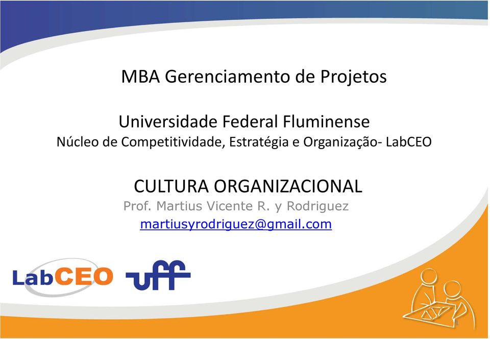 Organização-LabCEO CULTURA ORGANIZACIONAL Prof.