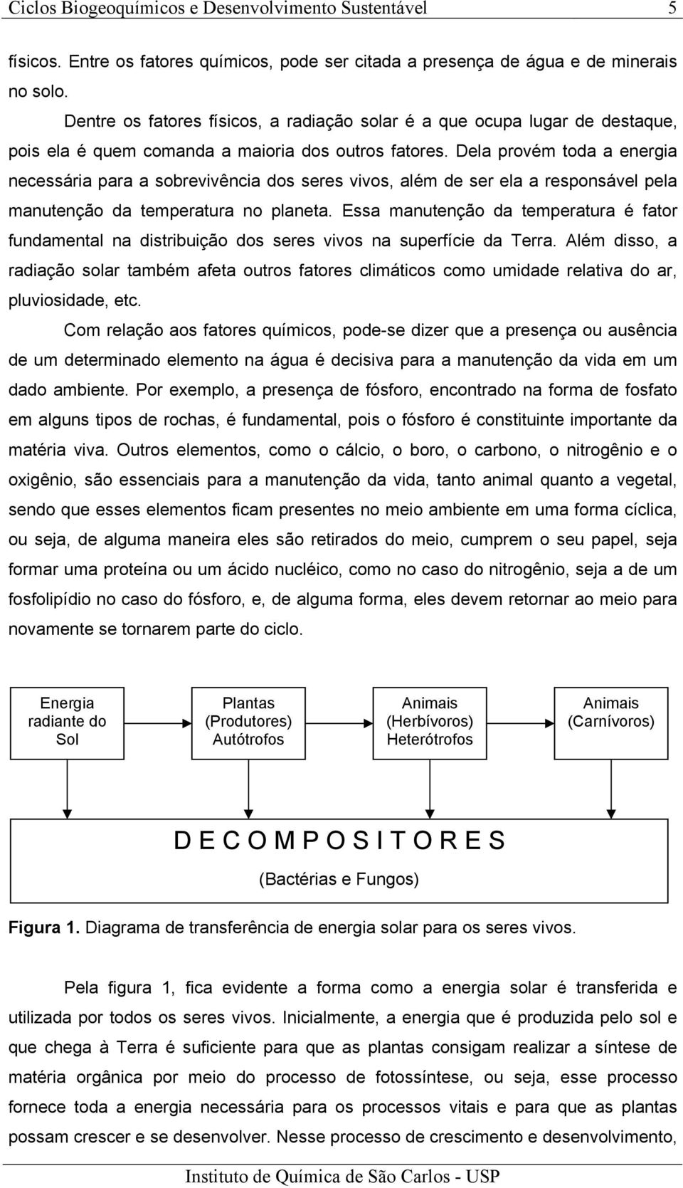 Dela provém toda a energia necessária para a sobrevivência dos seres vivos, além de ser ela a responsável pela manutenção da temperatura no planeta.