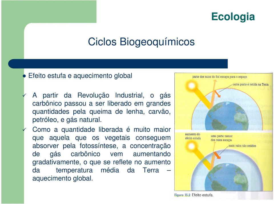 Como a quantidade liberada é muito maior que aquela que os vegetais conseguem absorver pela fotossíntese, a