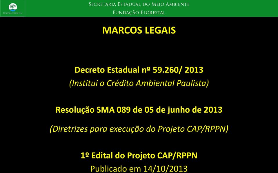 Resolução SMA 089 de 05 de junho de 2013 (Diretrizes