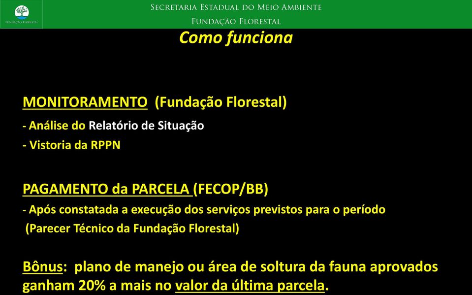 serviços previstos para o período (Parecer Técnico da Fundação Florestal) Bônus: plano