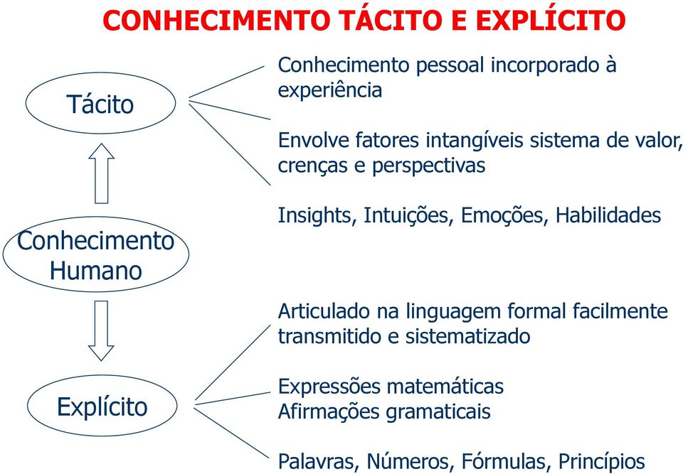 Insights, Intuições, Emoções, Habilidades Articulado na linguagem formal facilmente transmitido