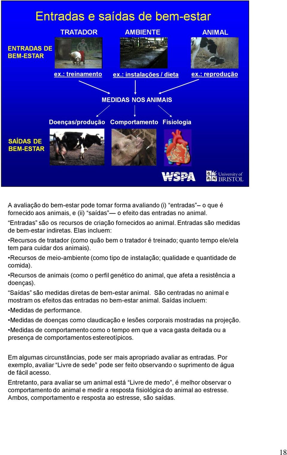 Recursos de meio-ambiente (como tipo de instalação; qualidade e quantidade de comida). Recursos de animais (como o perfil genético do animal, que afeta a resistência a doenças).