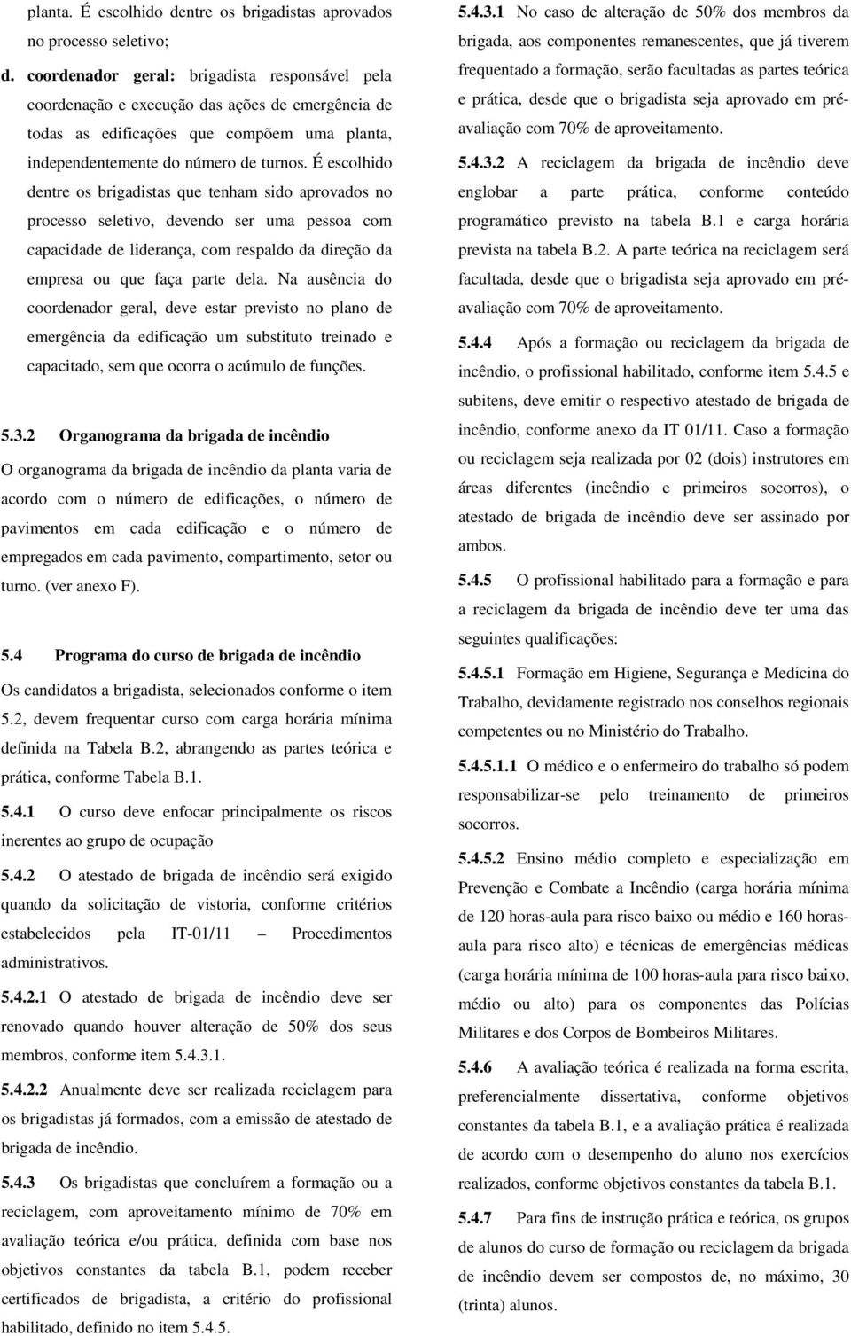 É escolhido dentre os s que tenham sido aprovados no processo seletivo, devendo ser uma pessoa com capacidade de liderança, com respaldo da direção da empresa ou que faça parte dela.