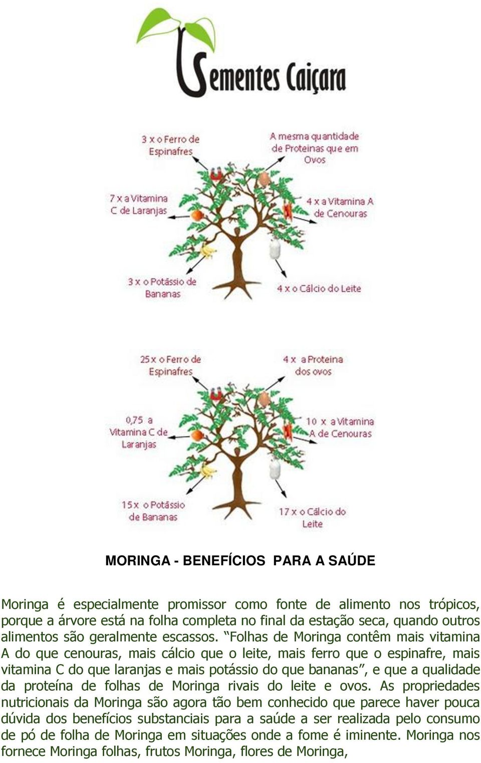 Folhas de Moringa contêm mais vitamina A do que cenouras, mais cálcio que o leite, mais ferro que o espinafre, mais vitamina C do que laranjas e mais potássio do que bananas, e que a qualidade