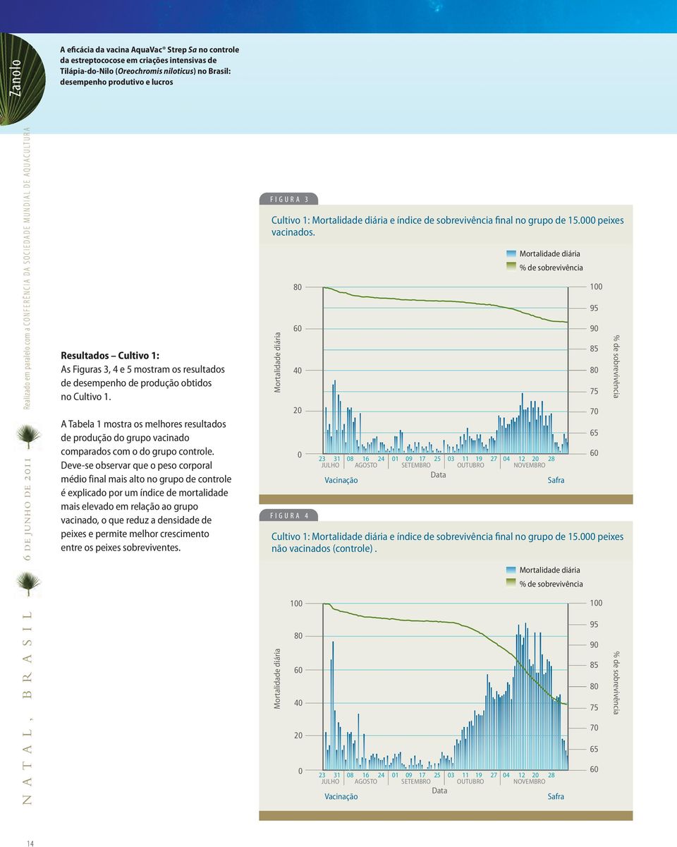 de desempenho de produção obtidos no Cultivo 1. A Tabela 1 mostra os melhores resultados de produção do grupo vacinado comparados com o do grupo controle.