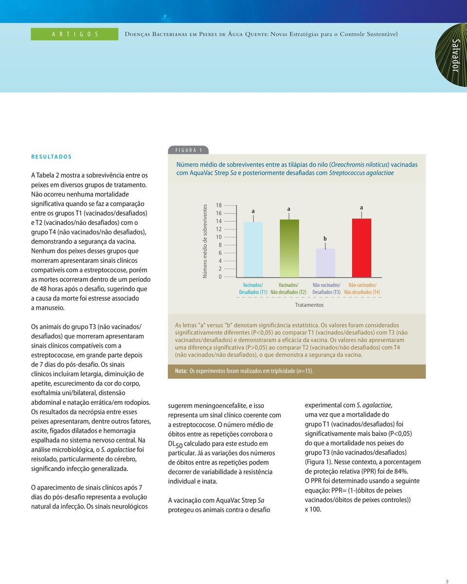 Não ocorreu nenhuma mortalidade significativa quando se faz a comparação entre os grupos T1 (vacinados/desafiados) e T2 (vacinados/não desafiados) com o grupo T4 (não vacinados/não desafiados),