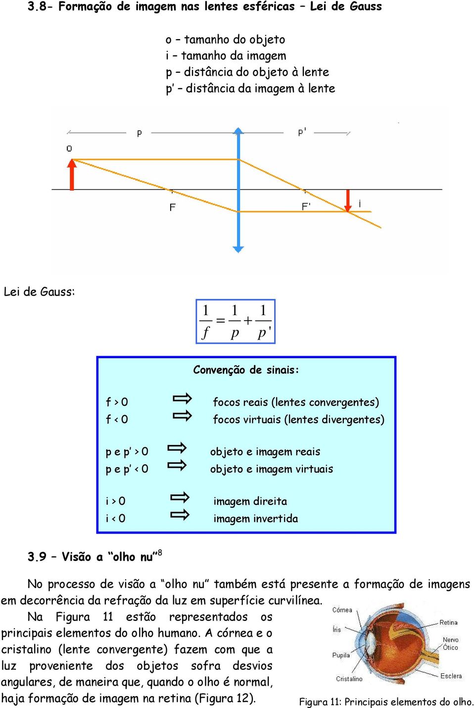 invertida 3.9 Visão a olho nu 8 No processo de visão a olho nu também está presente a formação de imagens em decorrência da refração da luz em superfície curvilínea.