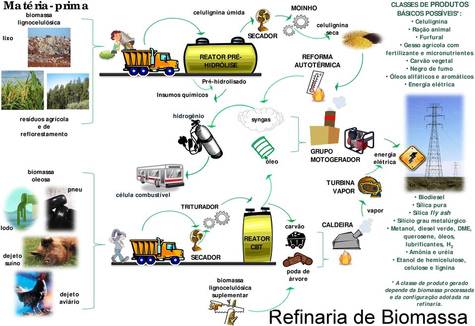 reflorestamento hidrogênio syngas óleo GRUPO MOTOGERADOR energia elétrica lodo dejeto suíno biomassa oleosa pneu dejeto aviário célula combustível TRITURADOR SECADOR biomassa lignocelulósica