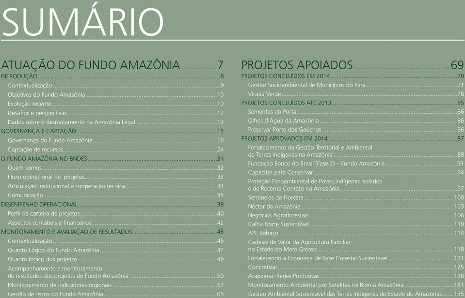 .. 32 Fluxo operacional de projetos... 32 Articulação institucional e cooperação técnica...34 Comunicação... 35 DESEMPENHO OPERACIONAL...39 Perfil da carteira de projetos.